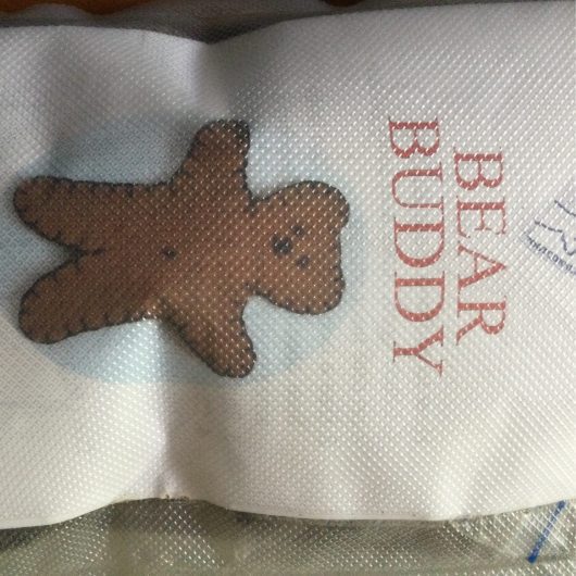 Bear Buddy Kit